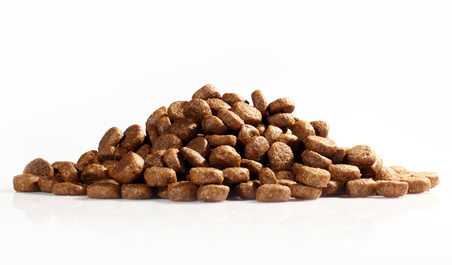 Low Sodium Dog Food Nutritional Needs Best Low Sodium Dog Foods