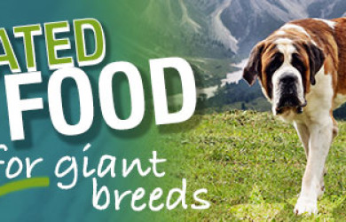 Best Dog Food For Giant Breeds