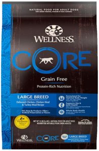 What Is The Best Dog Food for a Great Dane? | Wellness CORE Large Breed | Dogfood.guru