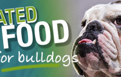 Best Dog Food For Bulldogs