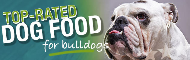 best bulldog puppy food