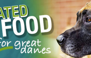 Best Dog Food For Great Danes