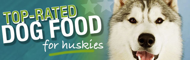 good dog food for husky puppies