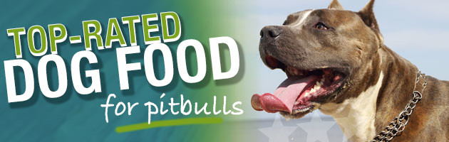 best dog food for blue nose pitbull with allergies