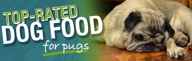 best food for pugs with skin allergies