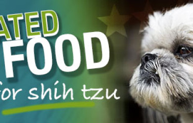 Best Dog Food For Shih Tzus