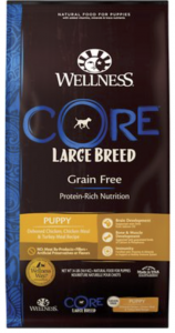 What Is The Best Dog Food for a Doberman Pinscher? | Wellness Core Large Breed | Dogfood.guru 