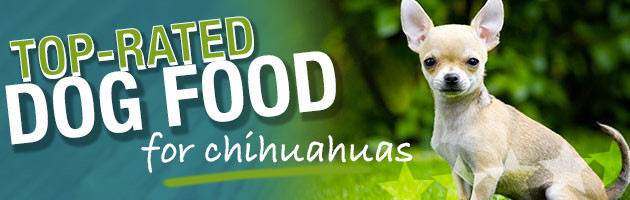 best dog food for chihuahua