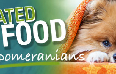 Best Dog Food For Pomeranians