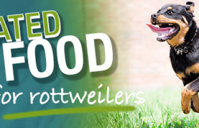 Best Dog Food For Rottweilers