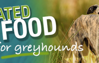 Best Dog Food For Greyhounds