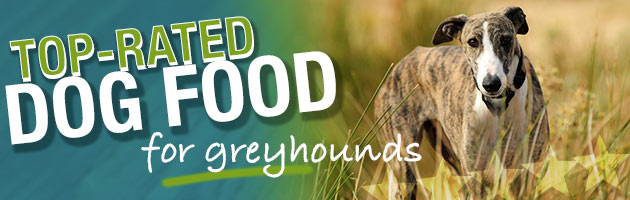 best diet for greyhounds