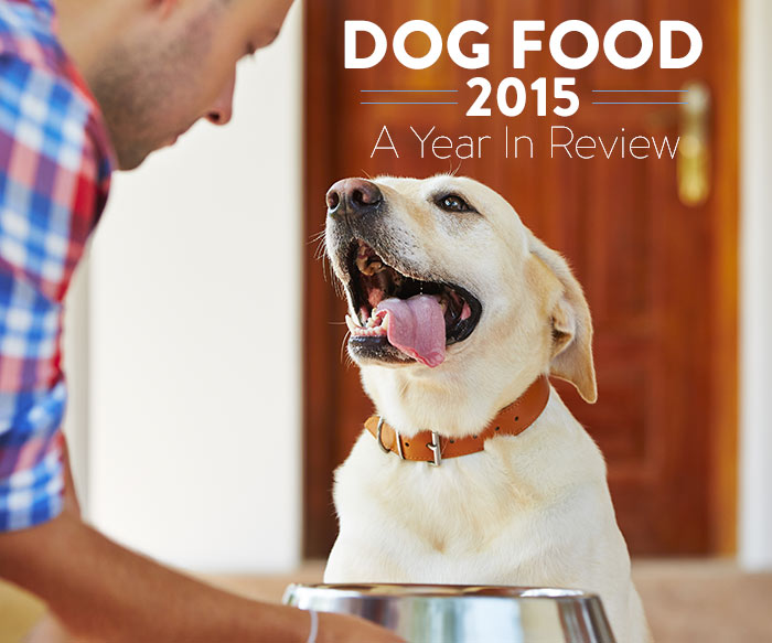 dog-food-in-review