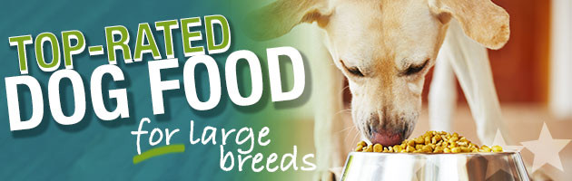 Best Dog Food For Large Breeds