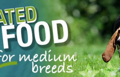 Best Dog Food For Medium Breeds