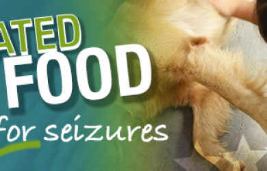 Best Dog Food For Seizures and Epilepsy