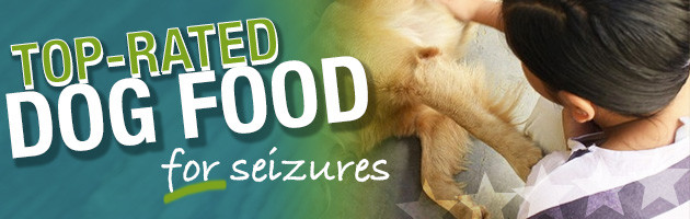 Best Dog Food for Dogs with Seizures Epilepsy