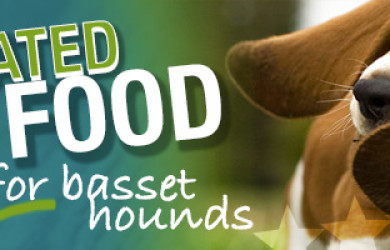 Best Dog Food For Basset Hounds