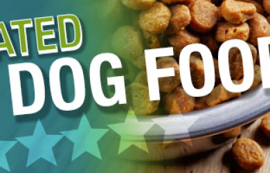 Best Dry Dog Food