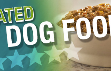 Best Wet Dog Food