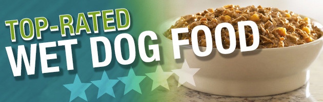 the best wet food for dogs