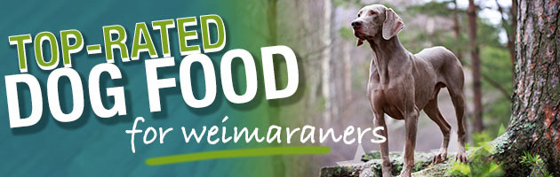 Homemade dog food for weimaraners best sale