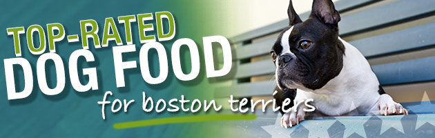 Best Dog Food For Boston Terriers