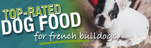 French Bulldog Puppy Food Chart