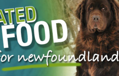 Best Dog Food For Newfoundlands