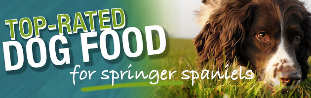 best dog food for springer spaniel puppy