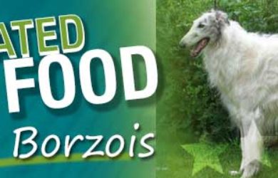 Best Dog Food Borzoi