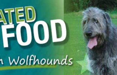 Irish Wolfhound Best Dog Food