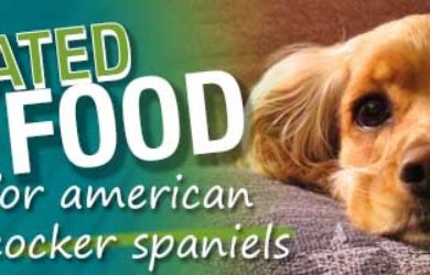 Best Dog Food American Cocker Spaniels