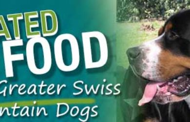 Best Dog Food Greater Swiss Mountain Dog