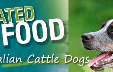 Best Dog Food Australian Cattle Dog