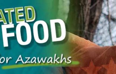 Best Dog Food Azawakhs