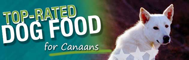 canaan dog food
