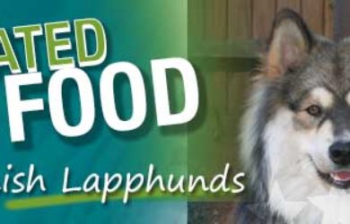 Best Dog Food Finnish Lapphund