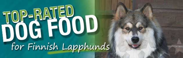 Best Dog Food Finnish Lapphund