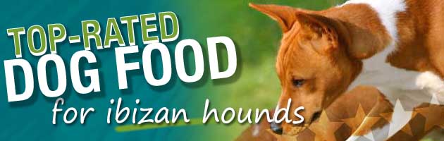 are carrots good for a ibizan hound