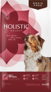 What Is The Best Dog Food for a Golden Retriever? | Holistic Select | Dogfood.guru