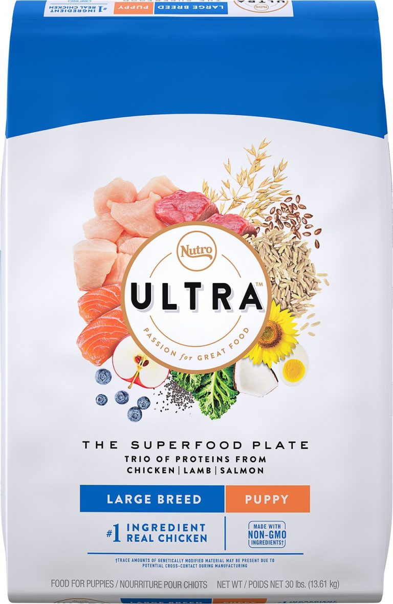 Best Dog Food for a Golden Retriever Puppies, Adults & Seniors