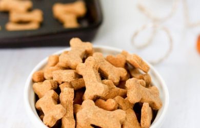 Homemade Pumpkin Pie Dog Cookies | Treats in a Bowl | Dogfood.guru