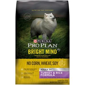 What Is The Best Dog Food for a Goldendoodle? | Purina Pro Plan Bright Mind | Dogfood.guru