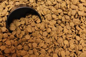 Toxins That Can Arise in Dry Dog Food | Whole Dog Journal | DogFood.Guru