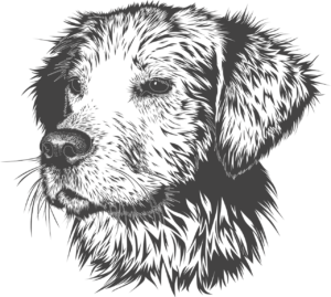 hand painted dog portrait